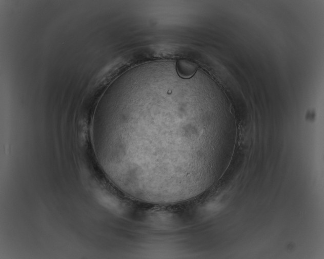 X0000093560648200710221423