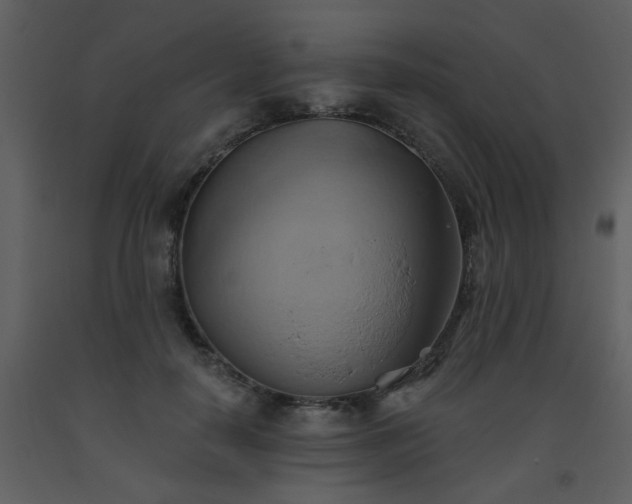 X0000093560650200710221423