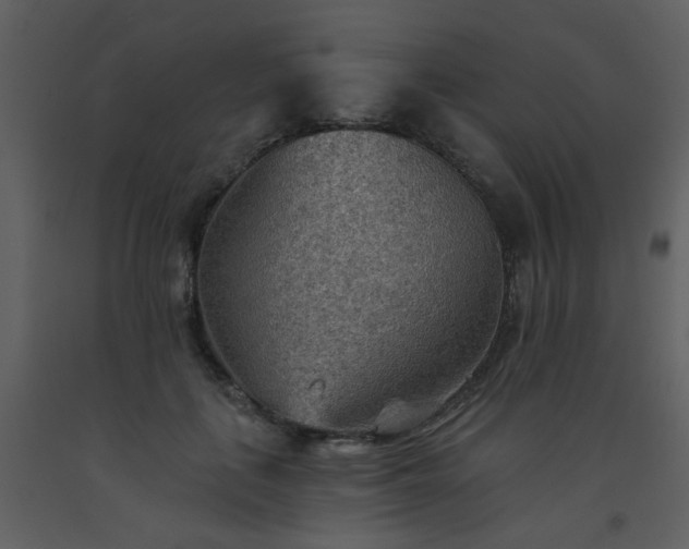 X0000093560651200710221423