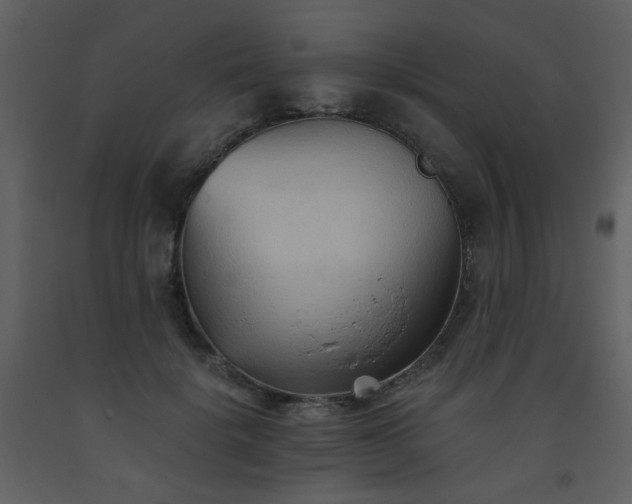 X0000093560652200710221423