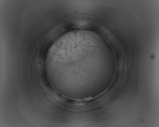 X0000093560653200710221423