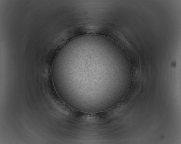 X0000093560655200710221423
