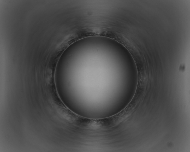 X0000093560656200710221423