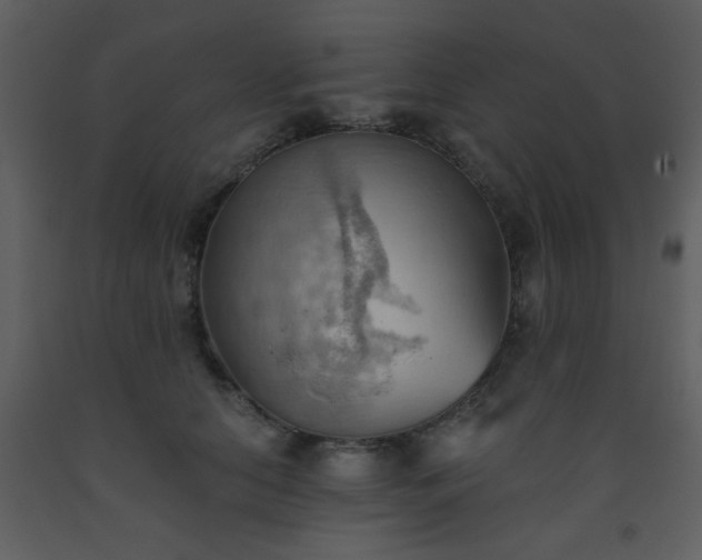 X0000093560658200710221424