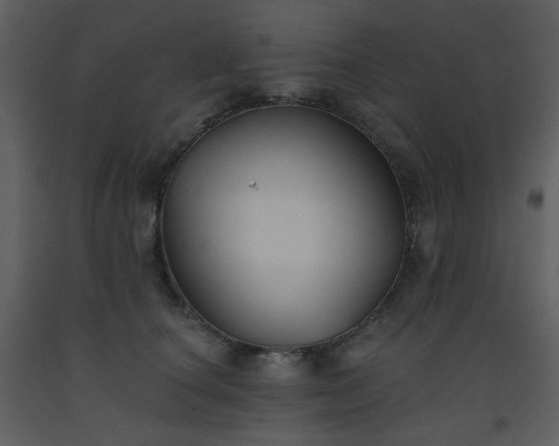 X0000093560660200710221424