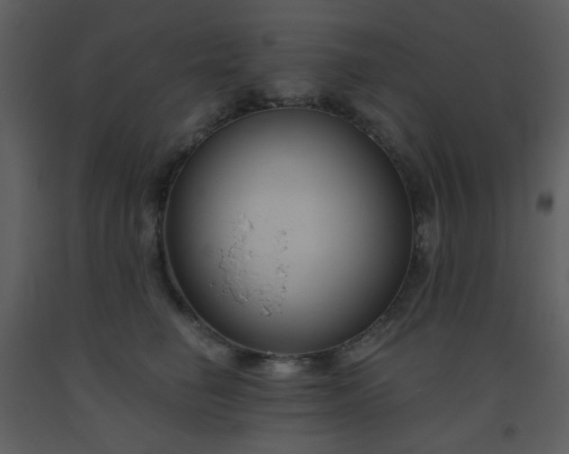 X0000093560662200710221424