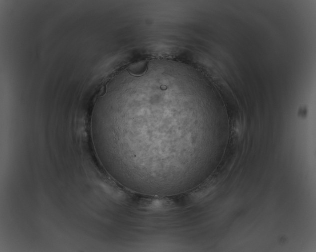X0000093560663200710221424