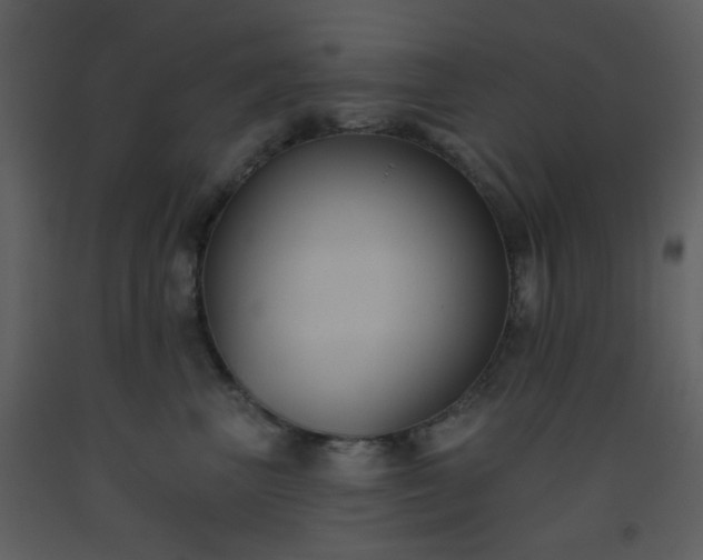 X0000093560667200710221424
