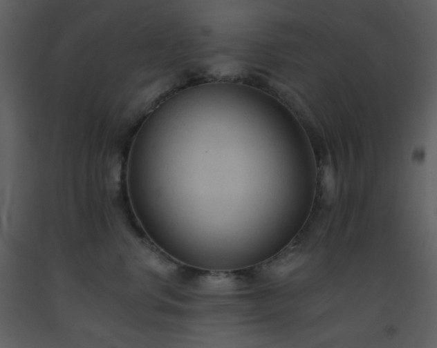 X0000093560668200710221424