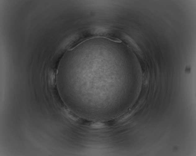 X0000093560669200710221424