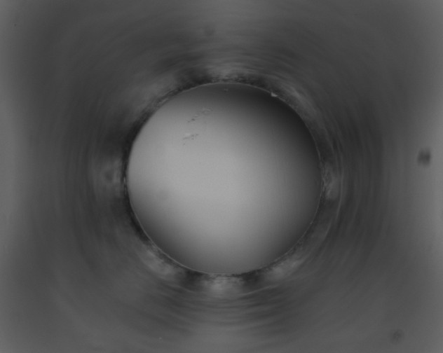 X0000093560670200710221424