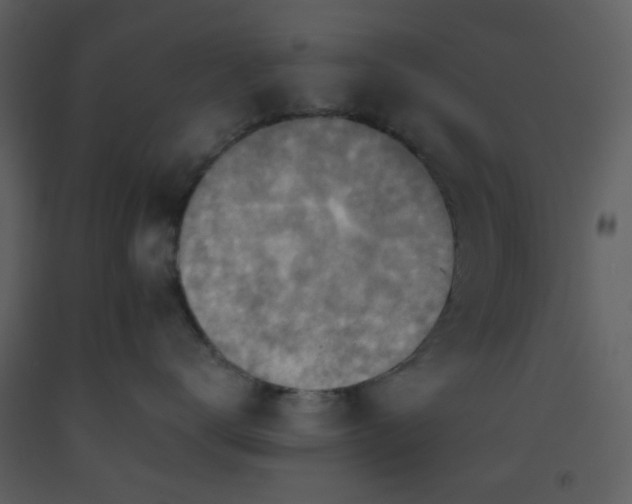 X0000093560672200710221424