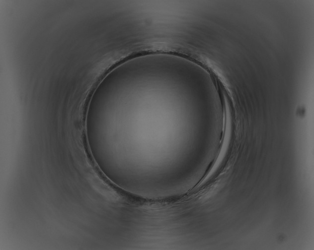 X0000093560673200710221423
