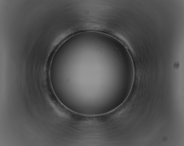 X0000093560674200710221423