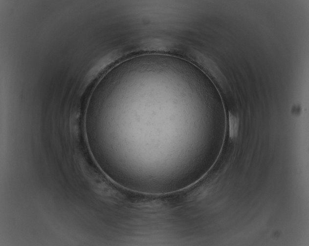 X0000093560675200710221423