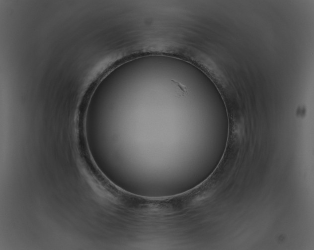 X0000093560678200710221423