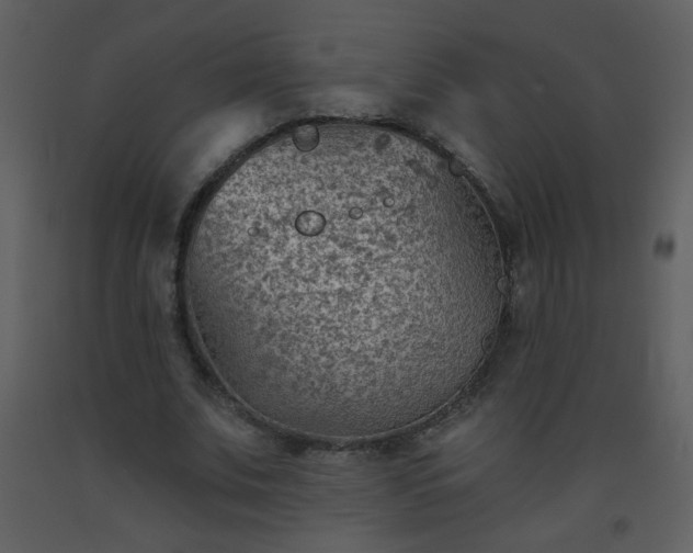 X0000093560679200710221423
