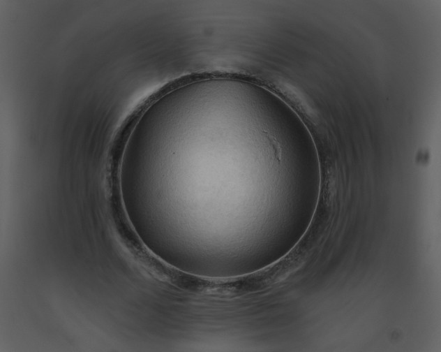X0000093560680200710221423