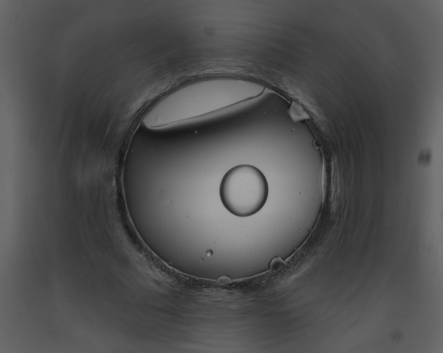 X0000093560681200710221423