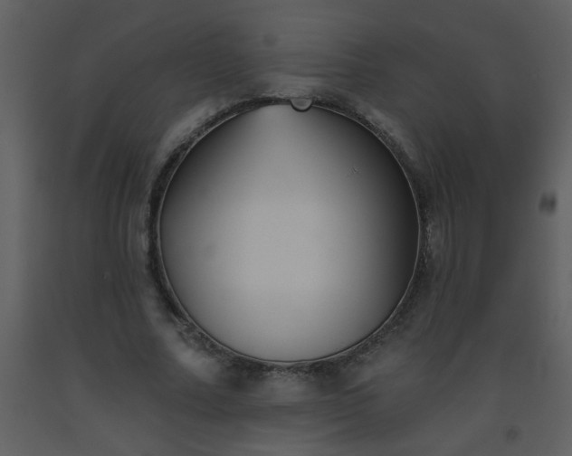 X0000093560682200710221423