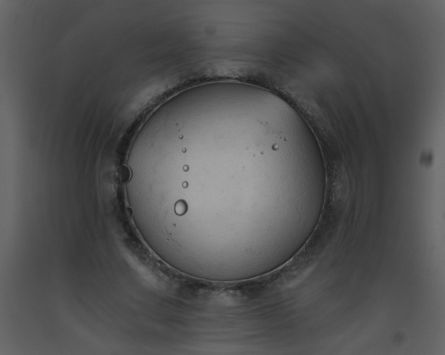 X0000093560683200710221423