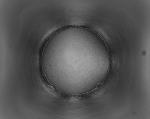 X0000093560684200710221423