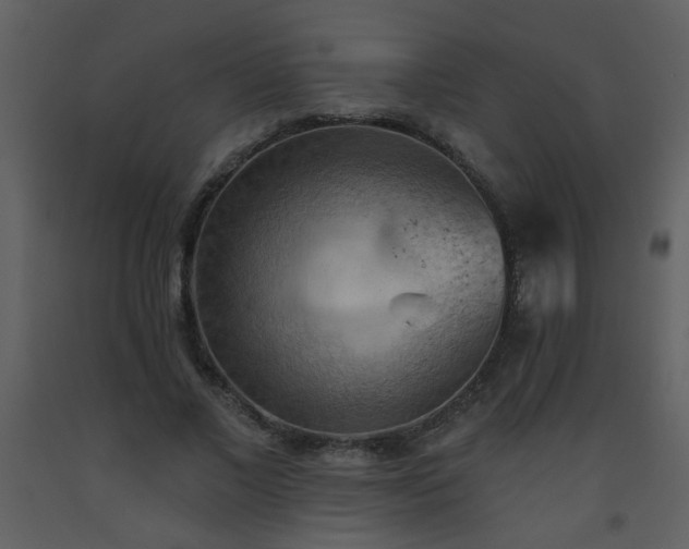 X0000093560685200710221423