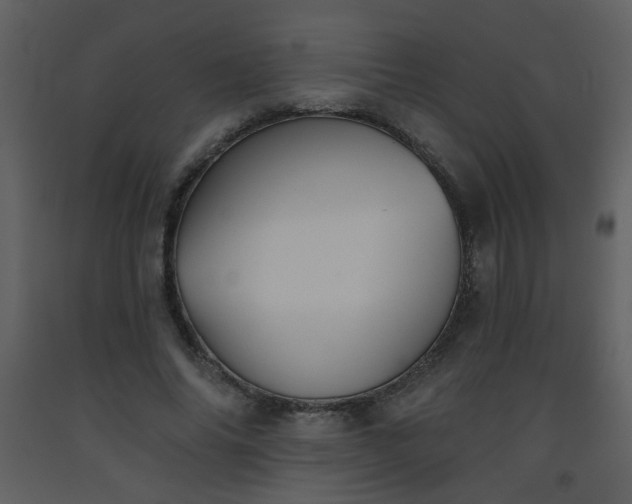 X0000093560686200710221423