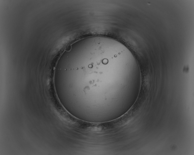 X0000093560687200710221423