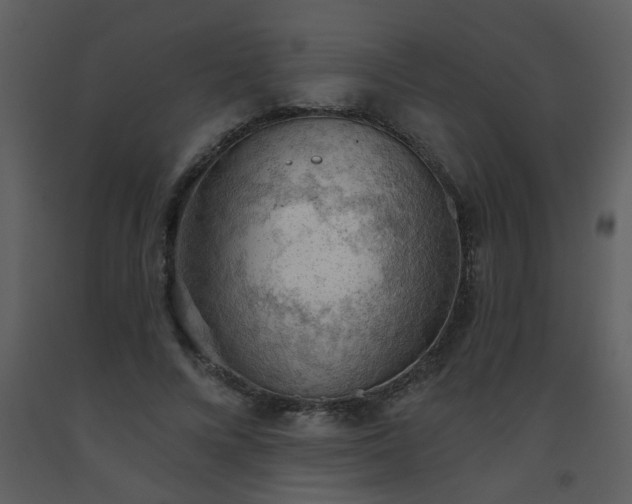 X0000093560688200710221423