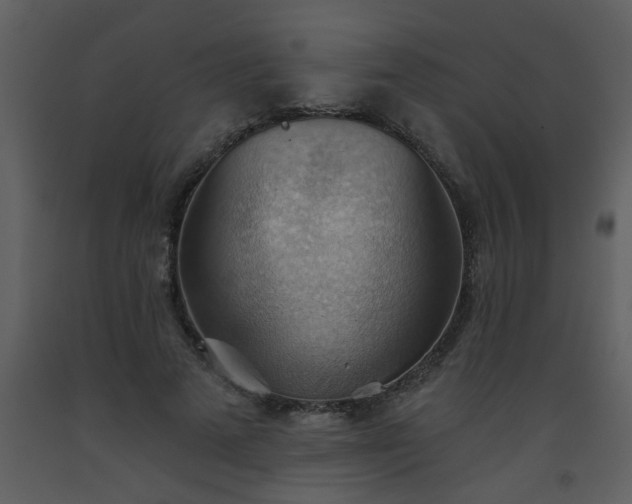 X0000093560689200710221423