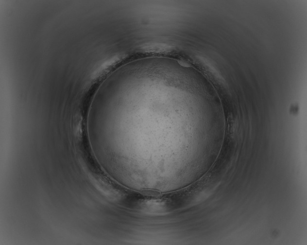 X0000093560692200710221423