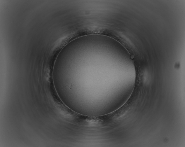 X0000093560693200710221423