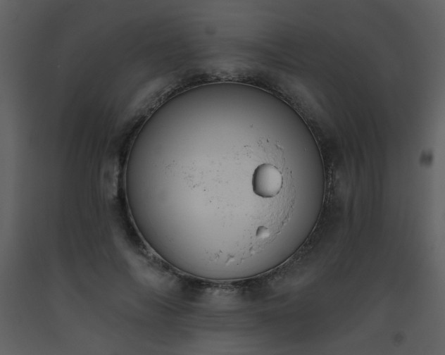 X0000093560694200710221423