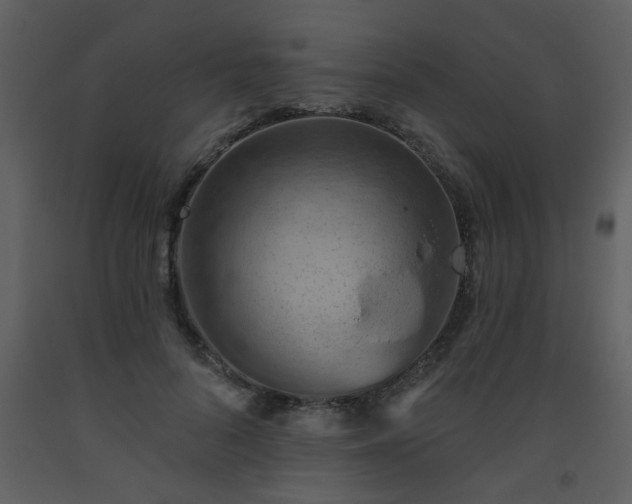 X0000093560696200710221423