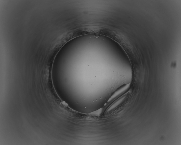 X0000093560697200710221423