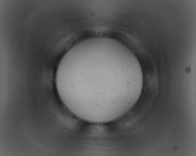 X0000093560698200710221423