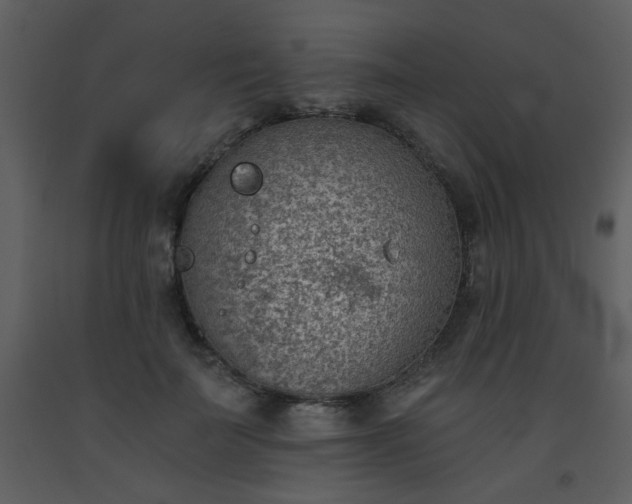 X0000093560699200710221423