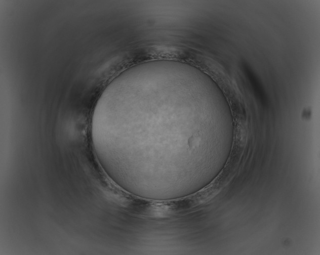 X0000093560701200710221423