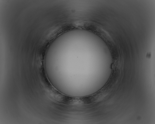 X0000093560702200710221423