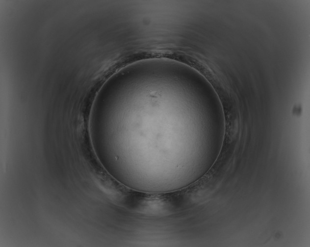 X0000093560704200710221423