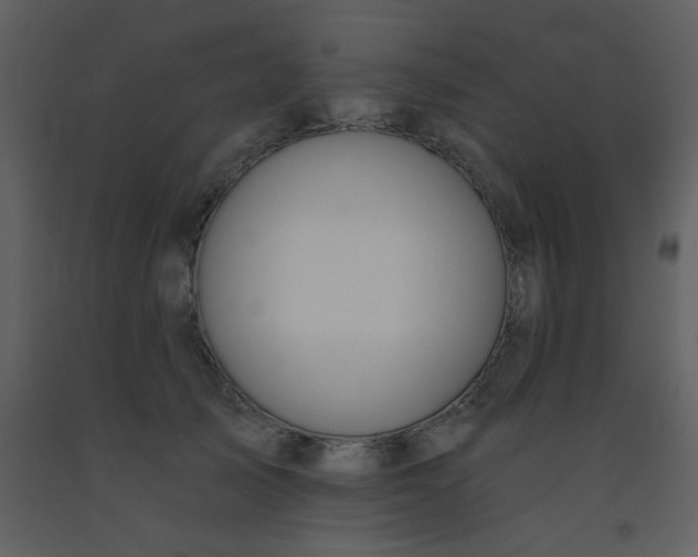 X0000093560705200710221423