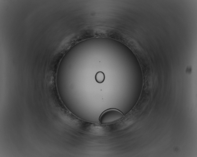 X0000093560706200710221423