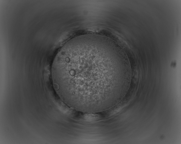 X0000093560707200710221423