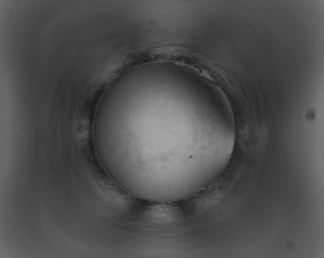 X0000093560708200710221423