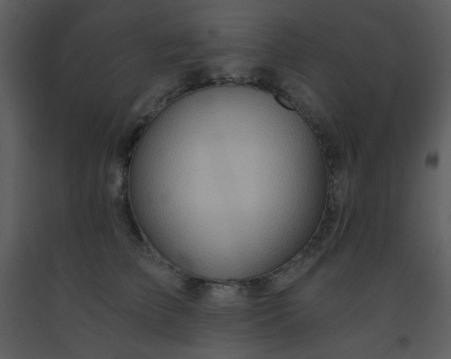 X0000093560709200710221423