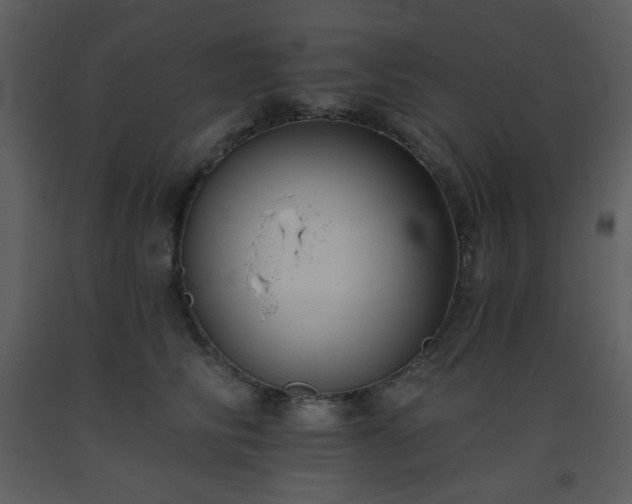 X0000093560710200710221422