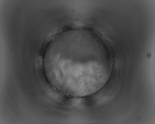 X0000093560711200710221422