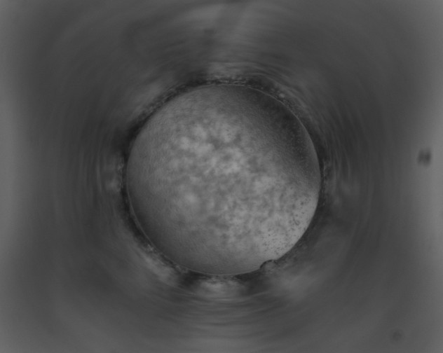 X0000093560712200710221422