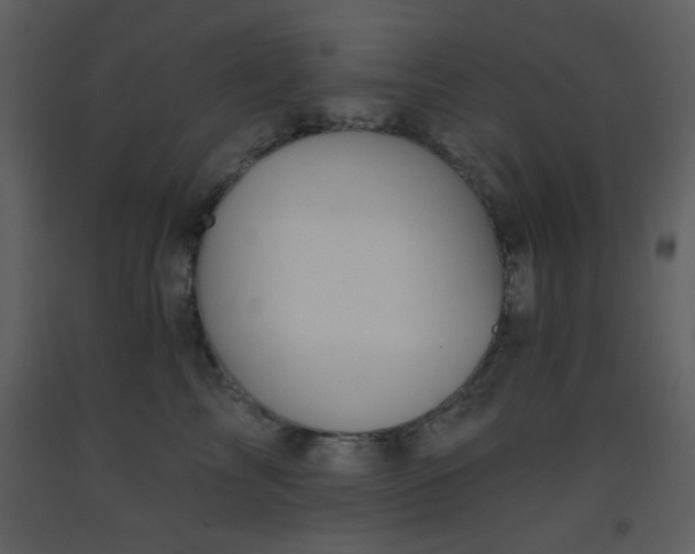 X0000093560713200710221422
